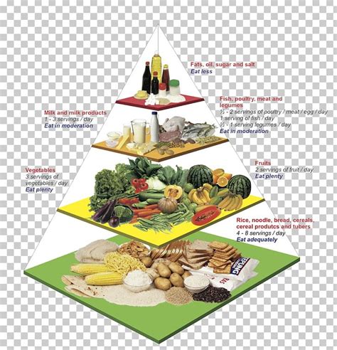 Malaysian Food Pyramid 2017 The Malaysian Food Pyramid Is Currently