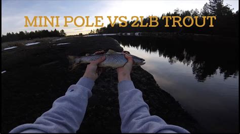 Table of contents top 5 trout fishing lures for beginners where to fish for trout we could write a book just on fishing poles. Mini Fishing Pole VS 2LB Trout - YouTube