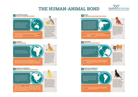The Human Animal Bond Healthforanimals