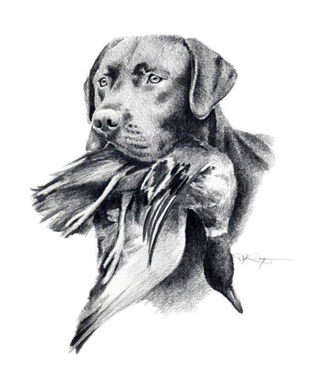 Black Lab Dog Art Print By Artist Dj Rogers Dog Art Black Labs Dogs