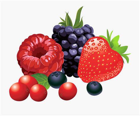 Berry Clipart Berry Transparent Free For Download On Webstockreview 2023