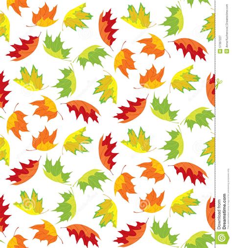 Autumn Leaves Pattern Stock Vector Illustration Of Maple 57397227