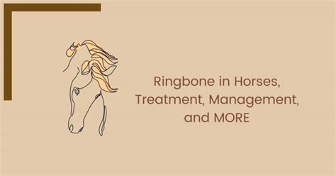 Ringbone In Horses Treatment Management And More The Horses Guide