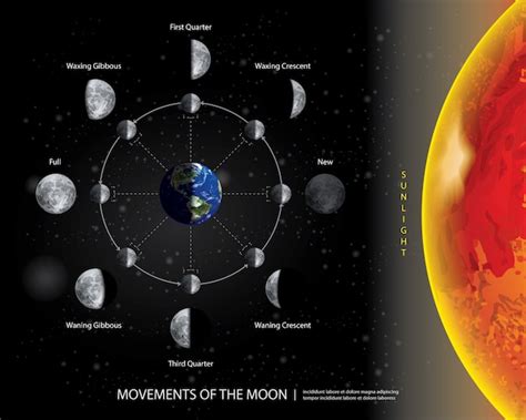 Movements Of The Moon Lunar Phases Realistic Vector Illustration