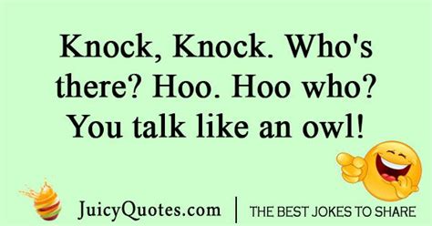 Knock Knock Owl Joke With Picture Jokes Jokes Pics