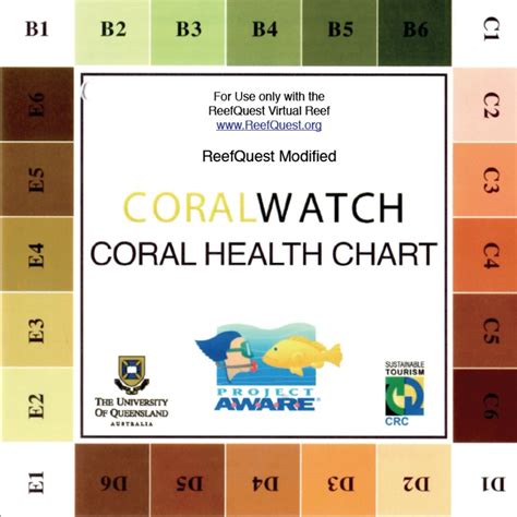 This is a handcrafted sterling silver ladies watch. Coral Watch Report 2 - Tautai Foundation