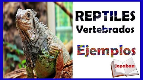 Los Reptiles Animales Vertebrados 🐍ejemplos De Reptiles