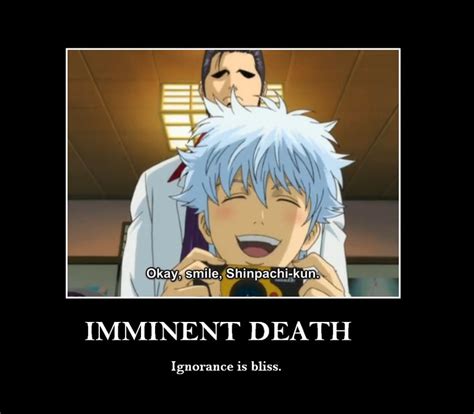 Gintama ~~ Gintoki Is Always Up For The Challenge Anime Memes Funny Comedy Anime Anime Funny