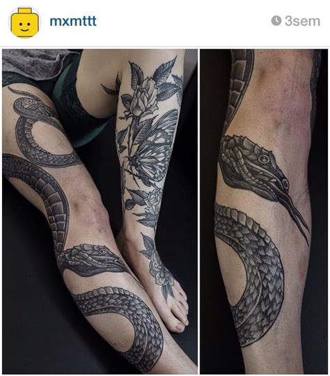 What does a snake and rose tattoo mean? Snake leg | Tattoos, Shin tattoo, Snake tattoo