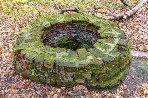 Old Brick Sewer Well Stock Photo Image Of Dark Forest 233266340