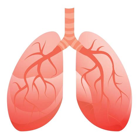 Icono De Pulmones Humanos Estilo De Dibujos Animados 14570047 Vector