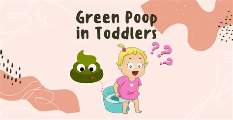 Green Poop Toddler Causes Of Green Stools