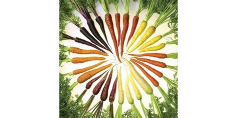 What about red, yellow, white, or black? What color is your carrot? | Morning Ag Clips