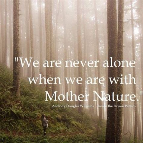 Motivational Mother Nature Quotes Nature Quotes Mother Nature