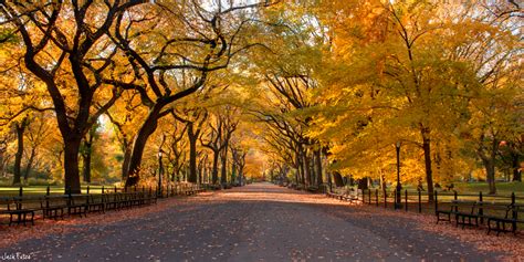 There is a very good 10 to 15 minute film in the museum on site giving the history of rock city park which apparently was the disneyland of it day back in the early 1900s. The Mall - Central Park | This shot comes from "The Mall ...