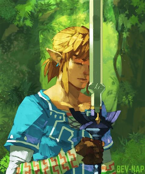 Botw S Link Earning The Master Sword Legend Of Zelda Memes Legend