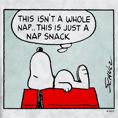Snoopy Nap With Images Snoopy Funny Snoopy Love Snoopy