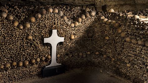 Catacomb Keeper S Ossuaric Apothecary Campestre Al Gov Br