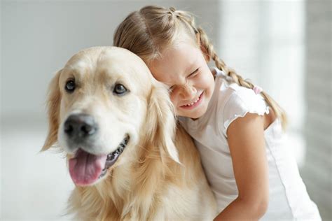 Familienfreundliche Hunde 10 Beliebte Rassen Elternde