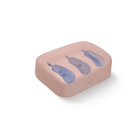 Cholecyst, gall bladder, biliary 2 anatomie. Gallenblasen-Set - 8000884 - 3011910 - Anatomie Sets - 3B ...