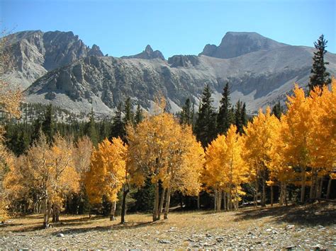 7 State Parks In Nevada With Beautiful Fall Foliage