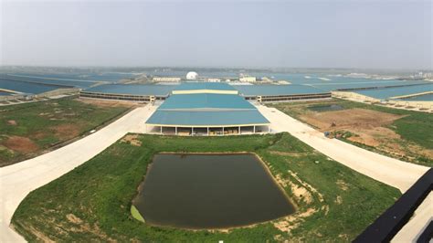 Video Inside The Biggest Dairy Farm In China Home To Cows