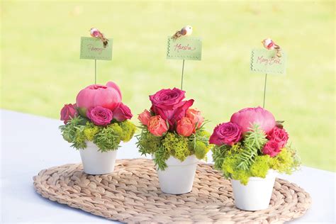 We have everything · world's largest selection · >80% items are new Throw a Bird-Themed Birthday Party - Southern Lady Mag