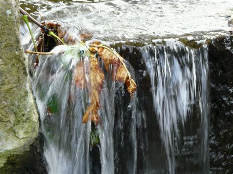 Autumn Leaf In Waterfall Image