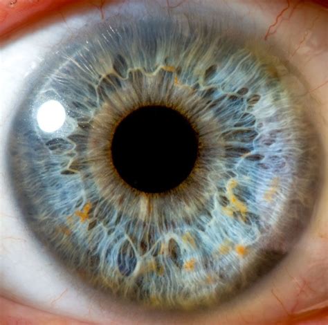 How Far Can The Human Eye See Human Visual Acuity Live Science