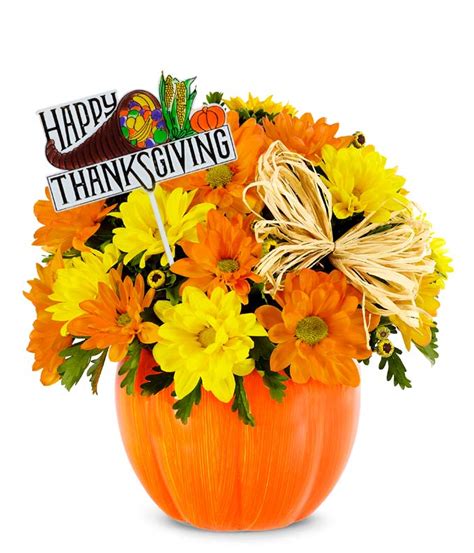 Check spelling or type a new query. Happy Thanksgiving Daisy Pumpkin Patch at From You Flowers