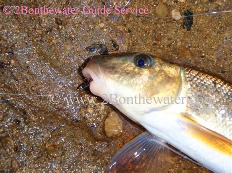 Su šia įmone galite susisiekti el. 2Bonthewater Guide Service - Reports December 22, 2010 ...
