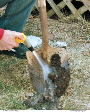 • choosing the right garden tools for your vegetable garden. Clean, Sharp Tools Work Better - FineGardening