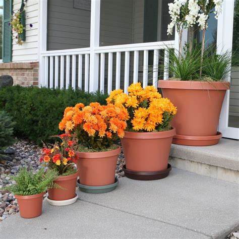 Use Evergreens To Make An Impact In Your Landscape Terra Pot Planter
