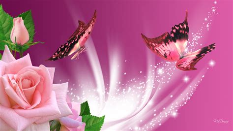 Pink Butterfly Wallpaper Images Wallpapersafari