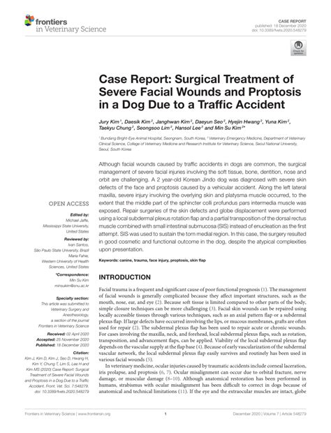 Pdf Case Report Surgical Treatment Of Severe Facial Wounds And