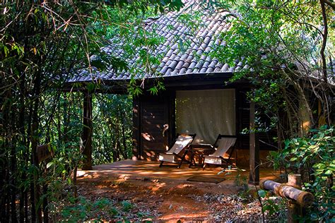 Wildernest Goa Jungle Or Forest Cottages At Chorla Ghats