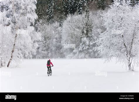 Mountain Biking Through A Snowy Alpine Forest Stock Photo Alamy
