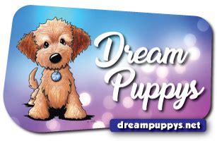 4223 montgomery hwy dothan, al 36303. puppies dothan al - Puppy And Pets