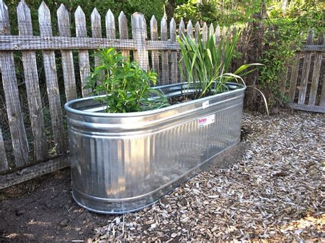 Galvanized Water Trough Planters Insteading