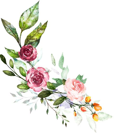 Antlers Watercolor Png Free Hand Painted Flower Rose Free