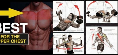 5 Techniques To Build The Upper Chest