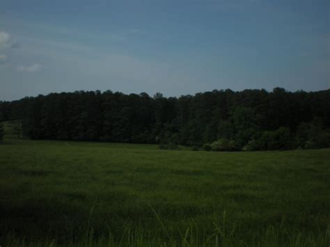 A Grassy Plain By Dalarnar On Deviantart