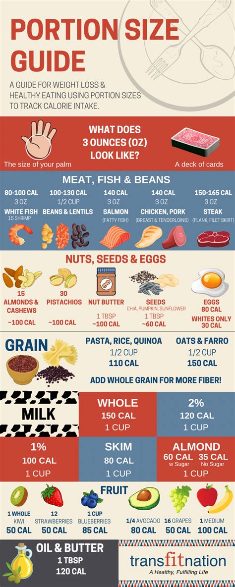 Portion Size Guide For Weight Loss And Healthy Eating Transfitnation