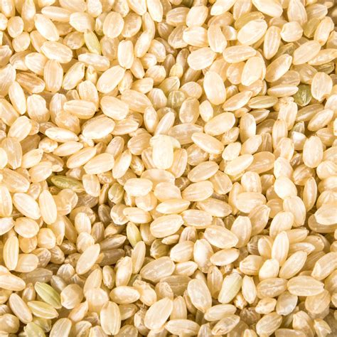 Organic Brown Short Grain Rice 25 Lb