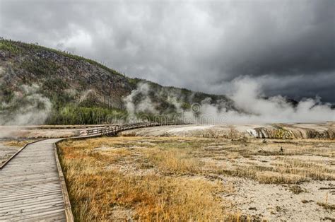 Boardwalks Through Yellowstone`s Thermal Features Stock Photo Image