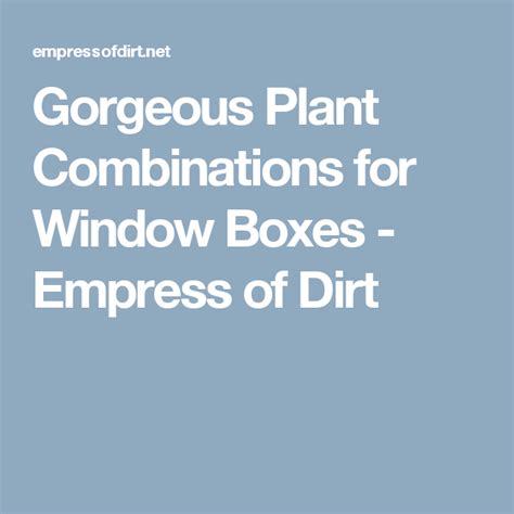 Gorgeous Plant Combinations For Window Boxes Empress Of Dirt Window