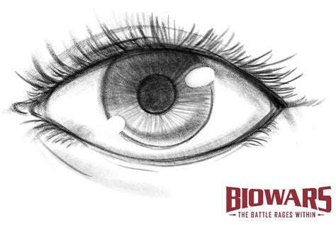 Details 75 Basic Sketches Of Eyes Super Hot Ineteachers