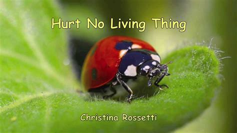Viruses, like bacteria, are microscopic and cause human diseases. Hurt No Living Thing a poem written by Christina Rossetti ...