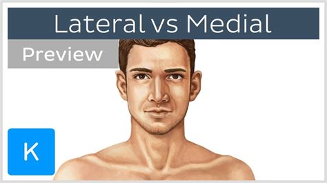 Lateral Vs Medial Anatomy