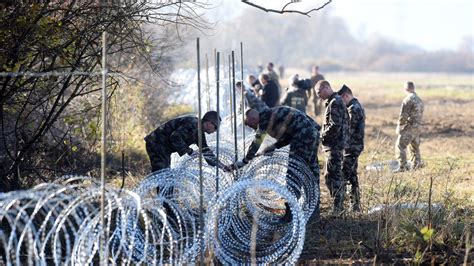 Aimed At Refugees Fences Are Threatening European Wildlife Yale E360
